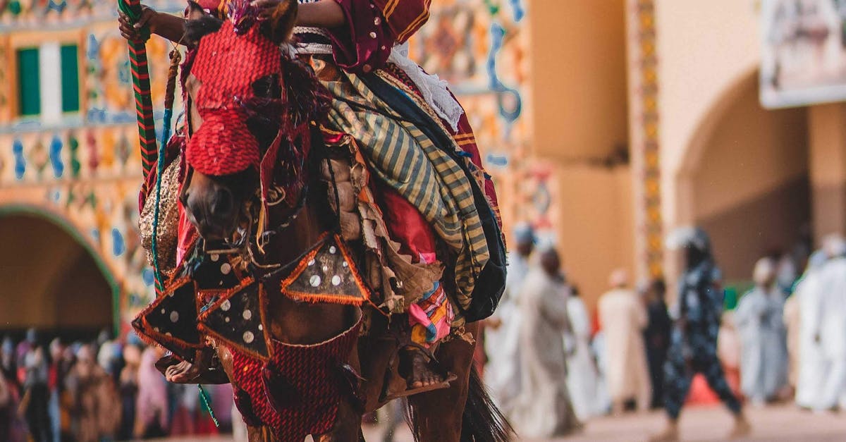 A vibrant horseman in traditional Nigerian attire participates in a festive parade in Zaria, Nigeria.